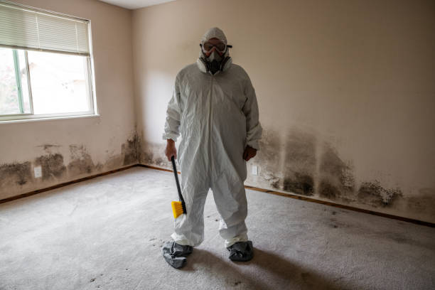 Mold Removal for HVAC Installations in Richgrove, CA